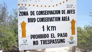 Isla Holbox Mexico путешествие своим ходом по острову и поиск мест где можно половить рыбу