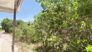 Isla Holbox Mexico путешествие своим ходом по острову и поиск мест где можно половить рыбу