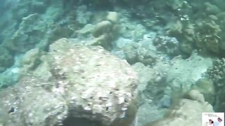 Таиланд Phuket необитаемые острова Ko Rok и Ko Ha, снорклинг лучшие кораллы и вараны