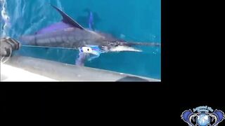 Морская рыбалка в Salalah Oman океанский биг гейм за тунцом и другими трофеями