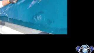 Морская рыбалка в Salalah Oman океанский биг гейм за тунцом и другими трофеями