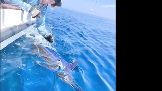 Морская рыбалка в Salalah Oman океанский биг гейм за тунцом и другими трофеями