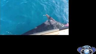 Морская рыбалка в Salalah Oman океанский биг гейм за тунцом и другими трофеями