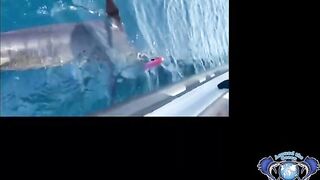 Морская рыбалка в Salalah Oman океанский биг гейм за тунцом и другими трофеями