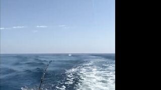 Морская рыбалка в Salalah Oman океанский биг гейм за тунцом и другими трофеями