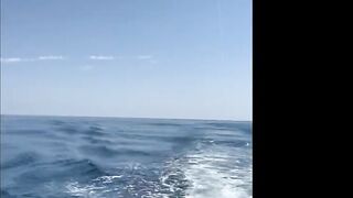 Морская рыбалка в Salalah Oman океанский биг гейм за тунцом и другими трофеями