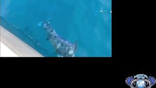 Морская рыбалка в Salalah Oman океанский биг гейм за тунцом и другими трофеями