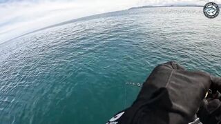 Морская рыбалка на Khao Lak Таиланд: джиг и поппинг по тревалли и кобии