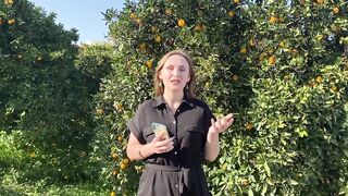 Lefke регион цитрусовое сердце Северного Кипра и надежды на золотое будущее