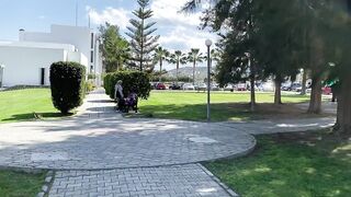 Lefke регион цитрусовое сердце Северного Кипра и надежды на золотое будущее