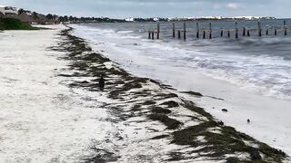 Puerto Morelos Mexico: баклан охотится под водой и прибрежная рыбалка в Мексике