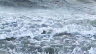 Puerto Morelos Mexico: баклан охотится под водой и прибрежная рыбалка в Мексике