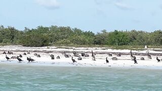 Isla Holbox Mexico расслабленный отдых на острове и стоит ли планировать выезды в море с удочкой