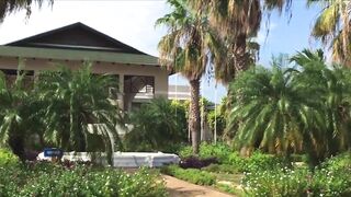 Остров Cayo Santa Maria Куба, что ожидать от пляжного отдыха и есть ли рядом рыбалка