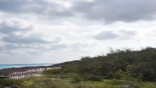 Остров Cayo Santa Maria Куба, что ожидать от пляжного отдыха и есть ли рядом рыбалка