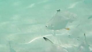 Остров Cayo Santa Maria Куба, что ожидать от пляжного отдыха и есть ли рядом рыбалка