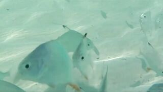 Остров Cayo Santa Maria Куба, что ожидать от пляжного отдыха и есть ли рядом рыбалка