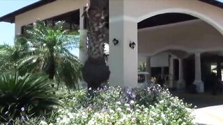 Остров Cayo Santa Maria Куба, что ожидать от пляжного отдыха и есть ли рядом рыбалка