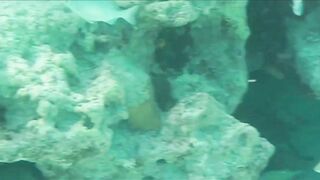 Остров Cayo Santa Maria Куба, что ожидать от пляжного отдыха и есть ли рядом рыбалка