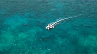 Puerto Morelos, морская рыбалка в Мексике на лучших рифах Карибского моря