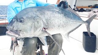 Pemba Zanzibar Tanzania охота на GT гигантского тревалли поппинг и релиз трофеев