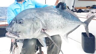 Pemba Zanzibar Tanzania охота на GT гигантского тревалли поппинг и релиз трофеев