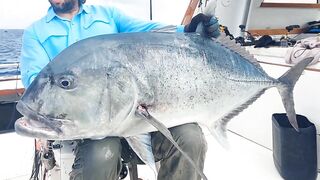 Pemba Zanzibar Tanzania охота на GT гигантского тревалли поппинг и релиз трофеев