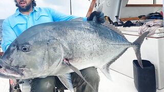 Pemba Zanzibar Tanzania охота на GT гигантского тревалли поппинг и релиз трофеев