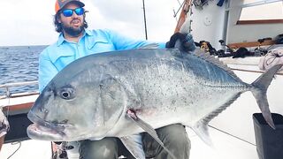 Pemba Zanzibar Tanzania охота на GT гигантского тревалли поппинг и релиз трофеев