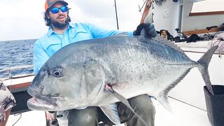 Pemba Zanzibar Tanzania охота на GT гигантского тревалли поппинг и релиз трофеев