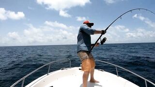 Djibouti GT рыбалка на попперы и стики биг гейм в 2019 у скал и рифов Красного моря