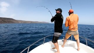 Djibouti GT рыбалка на попперы и стики биг гейм в 2019 у скал и рифов Красного моря