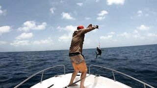 Djibouti GT рыбалка на попперы и стики биг гейм в 2019 у скал и рифов Красного моря