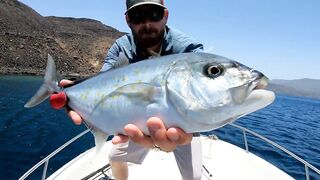 Djibouti GT рыбалка на попперы и стики биг гейм в 2019 у скал и рифов Красного моря