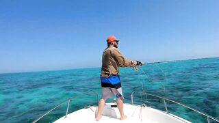 Djibouti GT рыбалка на попперы и стики биг гейм в 2019 у скал и рифов Красного моря