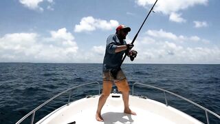 Djibouti GT рыбалка на попперы и стики биг гейм в 2019 у скал и рифов Красного моря