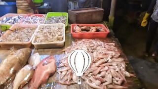 Unawatuna Sri Lanka: морская рыбалка в Унаватуне с берега и лодки