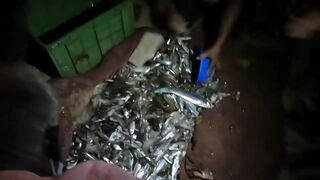 Unawatuna Sri Lanka: морская рыбалка в Унаватуне с берега и лодки