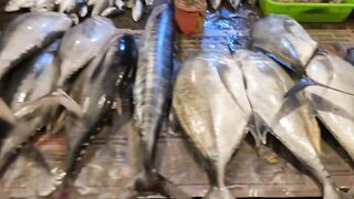 Unawatuna Sri Lanka: морская рыбалка в Унаватуне с берега и лодки