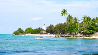 Экскурсии на Занзибаре - Танзания ночная жизнь дельфины снорклинг черепахи и рыбалка Нунгви