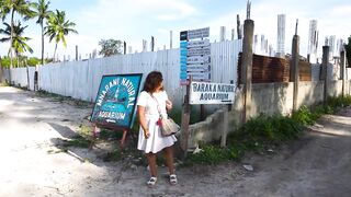 Экскурсии на Занзибаре - Танзания ночная жизнь дельфины снорклинг черепахи и рыбалка Нунгви