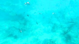 Экскурсии на Занзибаре - Танзания ночная жизнь дельфины снорклинг черепахи и рыбалка Нунгви