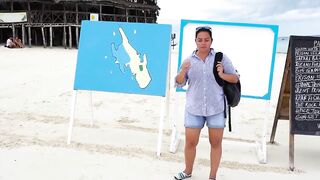 Экскурсии на Занзибаре - Танзания ночная жизнь дельфины снорклинг черепахи и рыбалка Нунгви