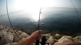 Shore fishing in Bahrain выпуск 2 береговая ловля и тест местных снастей в Персидском заливе