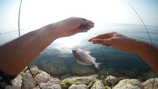 Shore fishing in Bahrain выпуск 2 береговая ловля и тест местных снастей в Персидском заливе