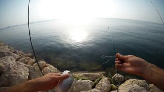 Shore fishing in Bahrain выпуск 2 береговая ловля и тест местных снастей в Персидском заливе