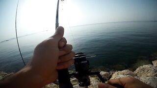 Shore fishing in Bahrain выпуск 2 береговая ловля и тест местных снастей в Персидском заливе