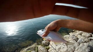 Shore fishing in Bahrain выпуск 2 береговая ловля и тест местных снастей в Персидском заливе