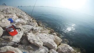 Shore fishing in Bahrain выпуск 2 береговая ловля и тест местных снастей в Персидском заливе