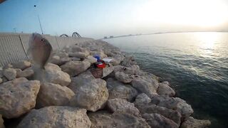 Shore fishing in Bahrain выпуск 2 береговая ловля и тест местных снастей в Персидском заливе